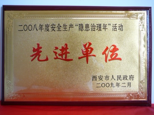 2009年2月，被西安市人民政府评为2008年度安全生产“隐患治理年”活动先进单位