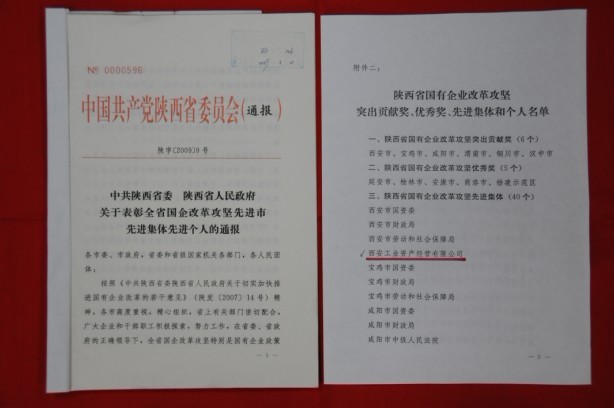 2009年2月，被陕西省委、省政府授予陕西省国有企业改革攻坚先进集体
