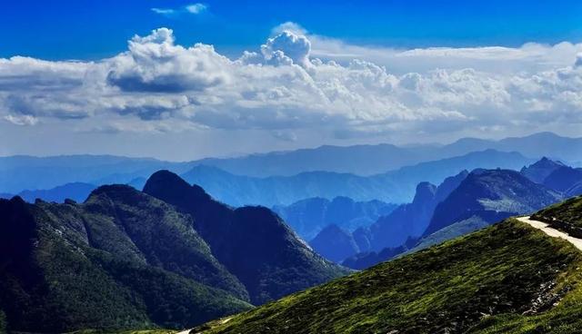 【环境?；ぁで亓肷课靼彩谐中棺ㄏ钚卸?清山查套清网 源头筑牢防线